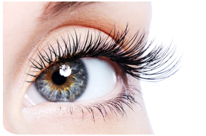 Oog met volle wimpers